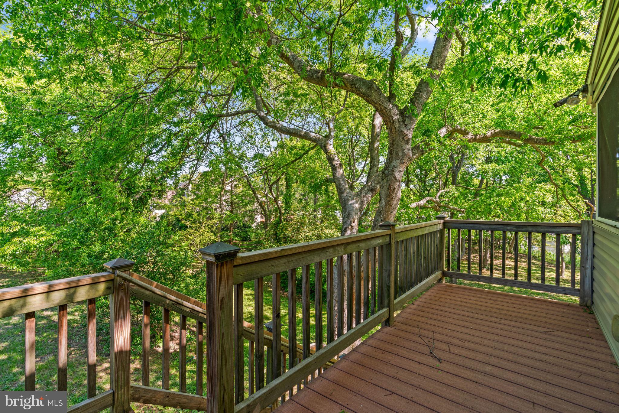 4218 Shoreham Beach Road Edgewater, MD 21037 - Photo 12 of 19