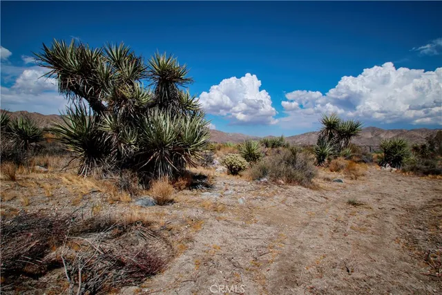 a view of a backyard of the house