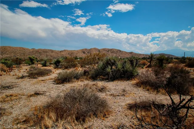$85,000 | 1 Polaris Morongo Valley, Morongo Valley, CA 92256