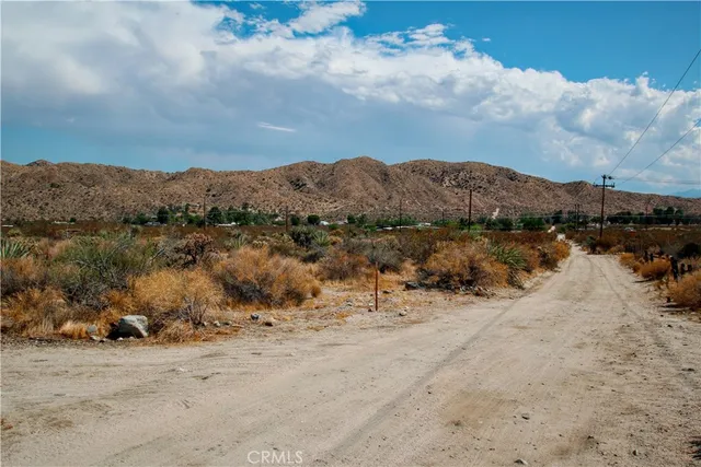 a view of a dry yard with wooden fence