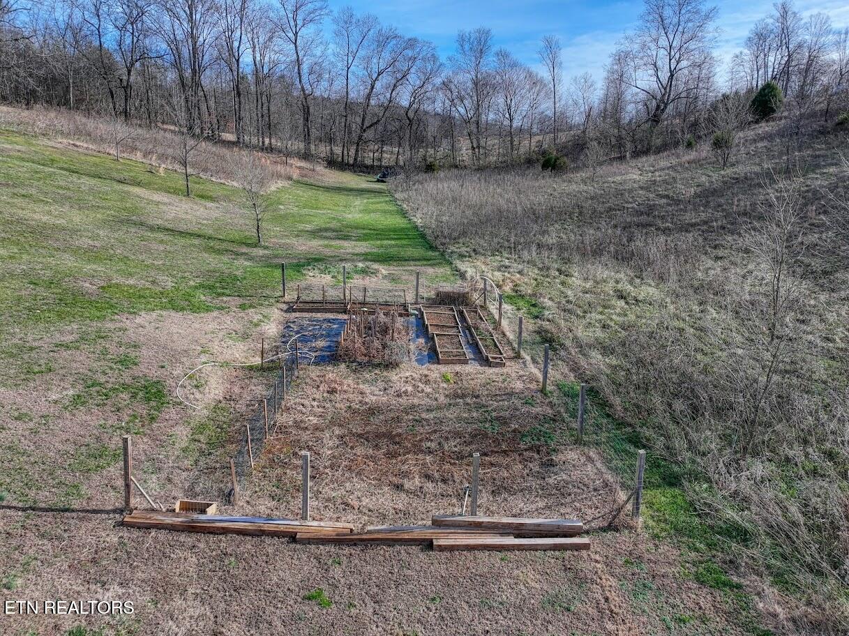2501 Stone Road Blaine, TN 37709 - Photo 37 of 41 DJI_20251231105610_0086_D_74