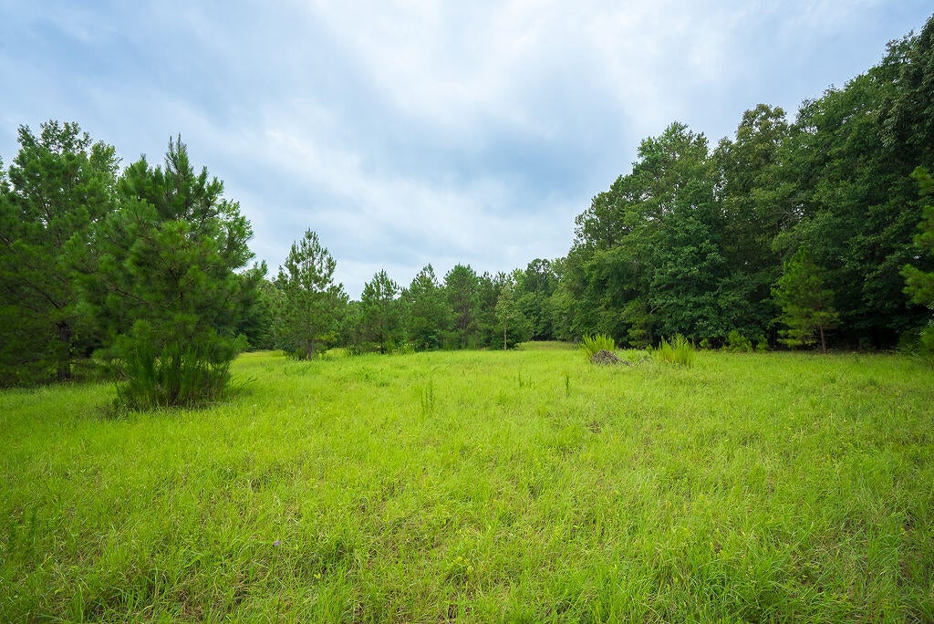1480-1482 Wire Road Aiken, SC 29805 - Photo 92 of 102 Gallery Image 92