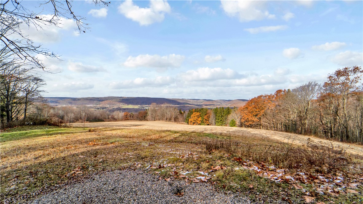 11750 Lyon Road Cohocton, NY 14512 - Photo 25 of 42