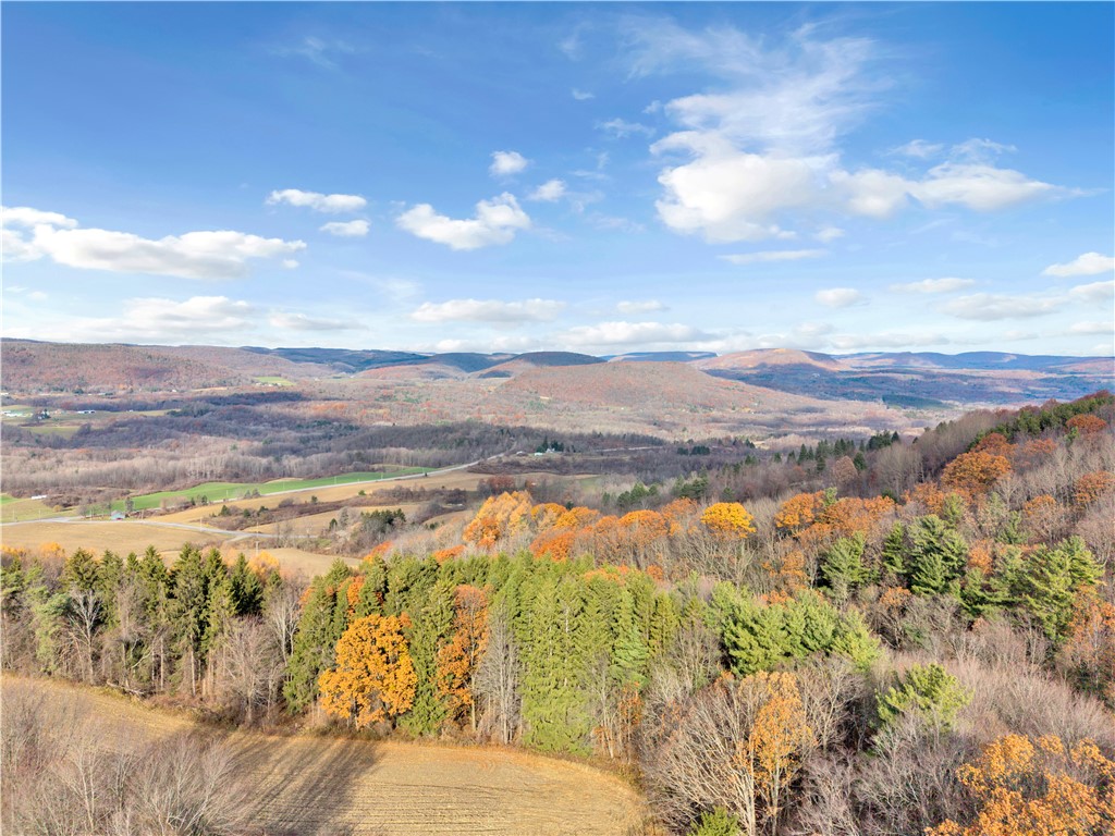 11750 Lyon Road Cohocton, NY 14512 - Photo 34 of 42