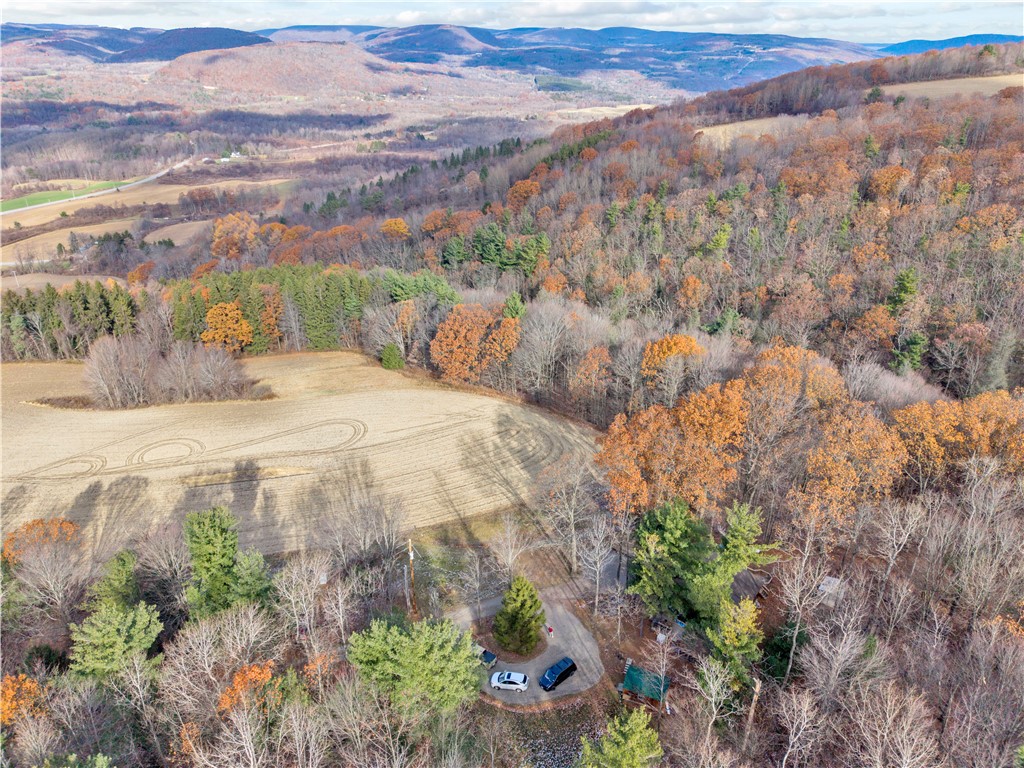 11750 Lyon Road Cohocton, NY 14512 - Photo 35 of 42