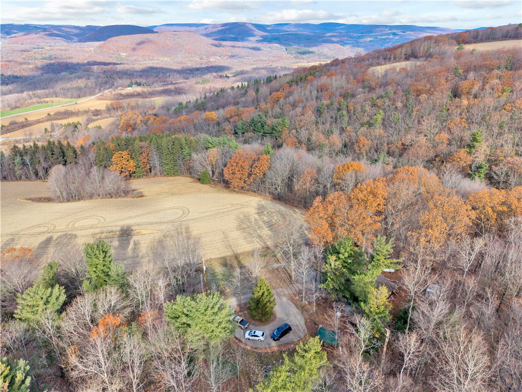 11750 Lyon Road Cohocton, NY 14512 - Photo 36 of 42