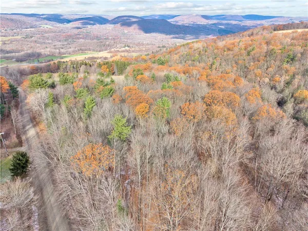 $224,900 | 11750 Lyon Road, Cohocton, NY 14512