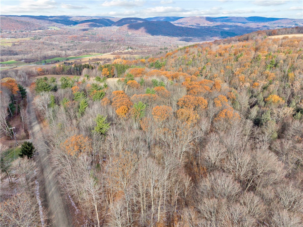 11750 Lyon Road Cohocton, NY 14512 - Photo 41 of 42