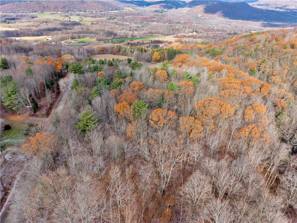 11750 Lyon Road Cohocton, NY 14512 - Photo 42 of 42