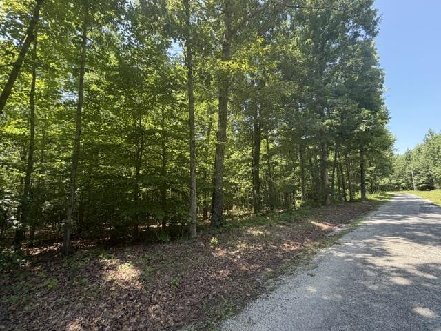 175 Duck Road Holladay, TN 38341 - Photo 23 of 26 Gallery Image 23