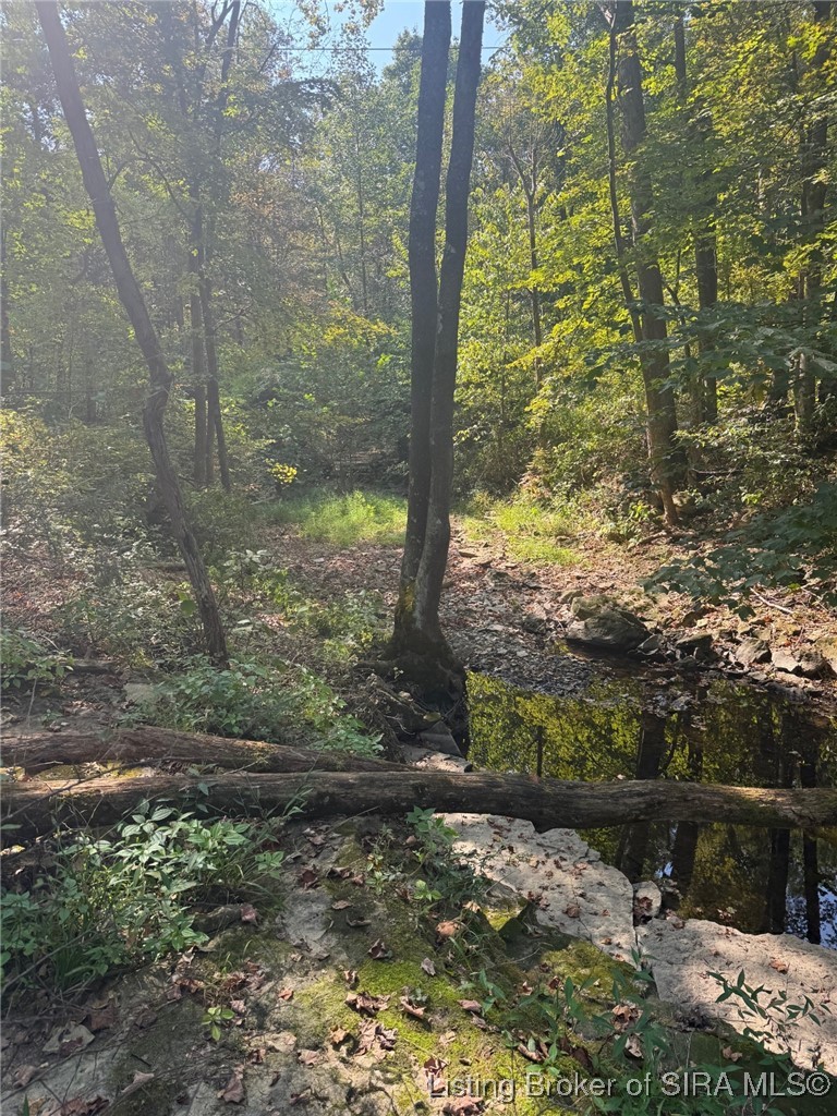 2843 East Thornton Road Madison, IN 47250 - Photo 3 of 5