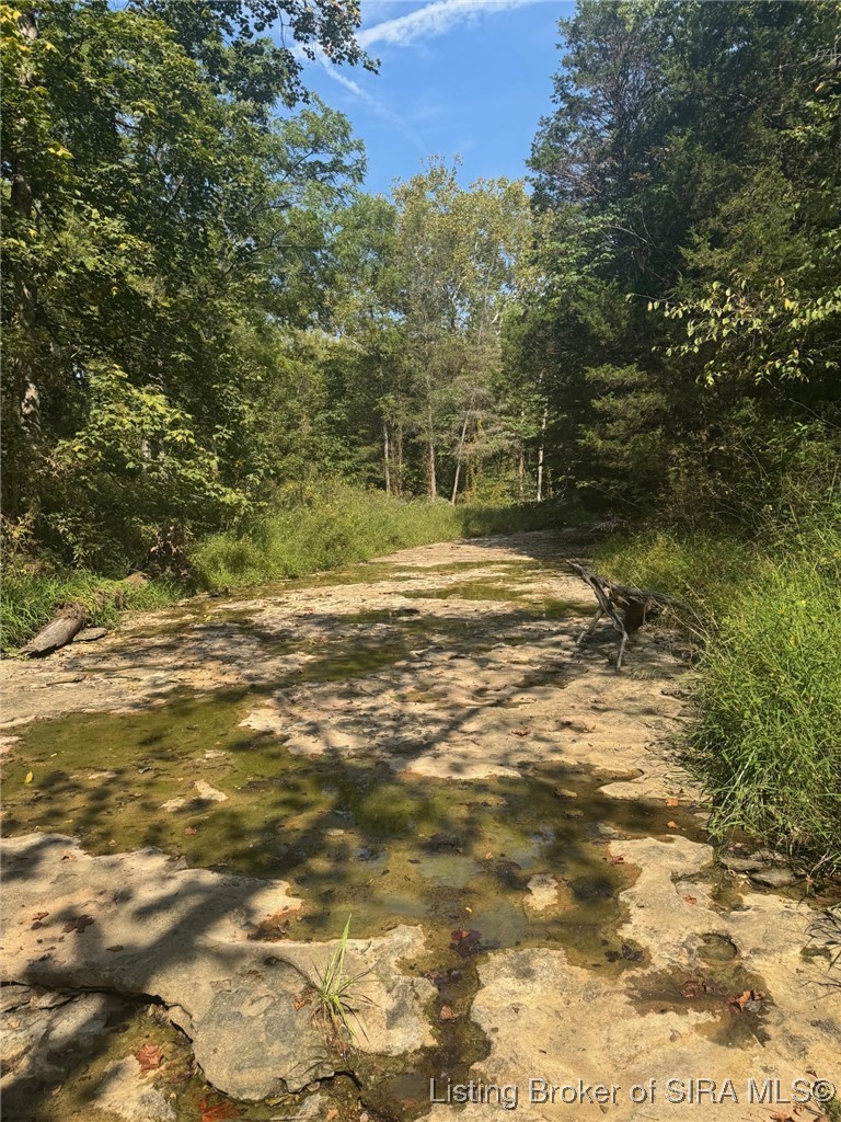 2843 East Thornton Road Madison, IN 47250 - Photo 4 of 5