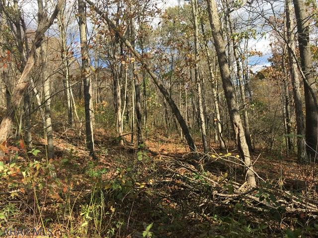 0 Teaberry Hollow Road Schellsburg, PA 15559 - Photo 5 of 16
