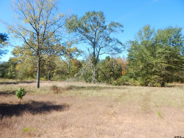 $79,900 | 3.5 Acres Highway, Gilmer, TX 75645