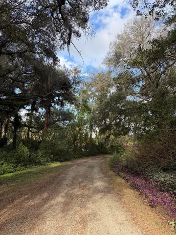 a view of outdoor space and yard