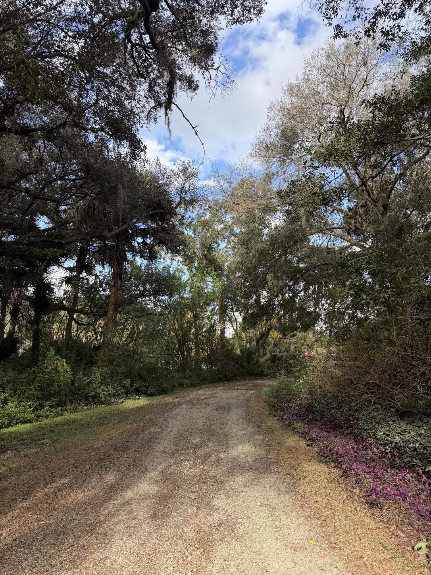 0 Undisclosed Okeechobee, FL 34972 - Photo 3 of 8 a view of outdoor space and yard