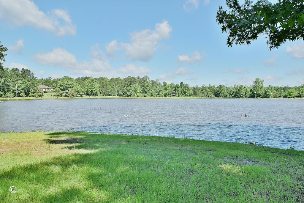 529 Apache Trail Waverly Hall, GA 31831 - Photo 2 of 29 Front view