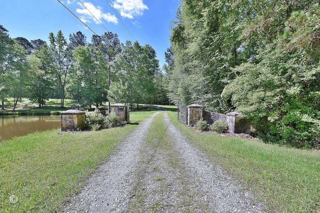 529 Apache Trail Waverly Hall, GA 31831 - Photo 4 of 29 entrance with gate
