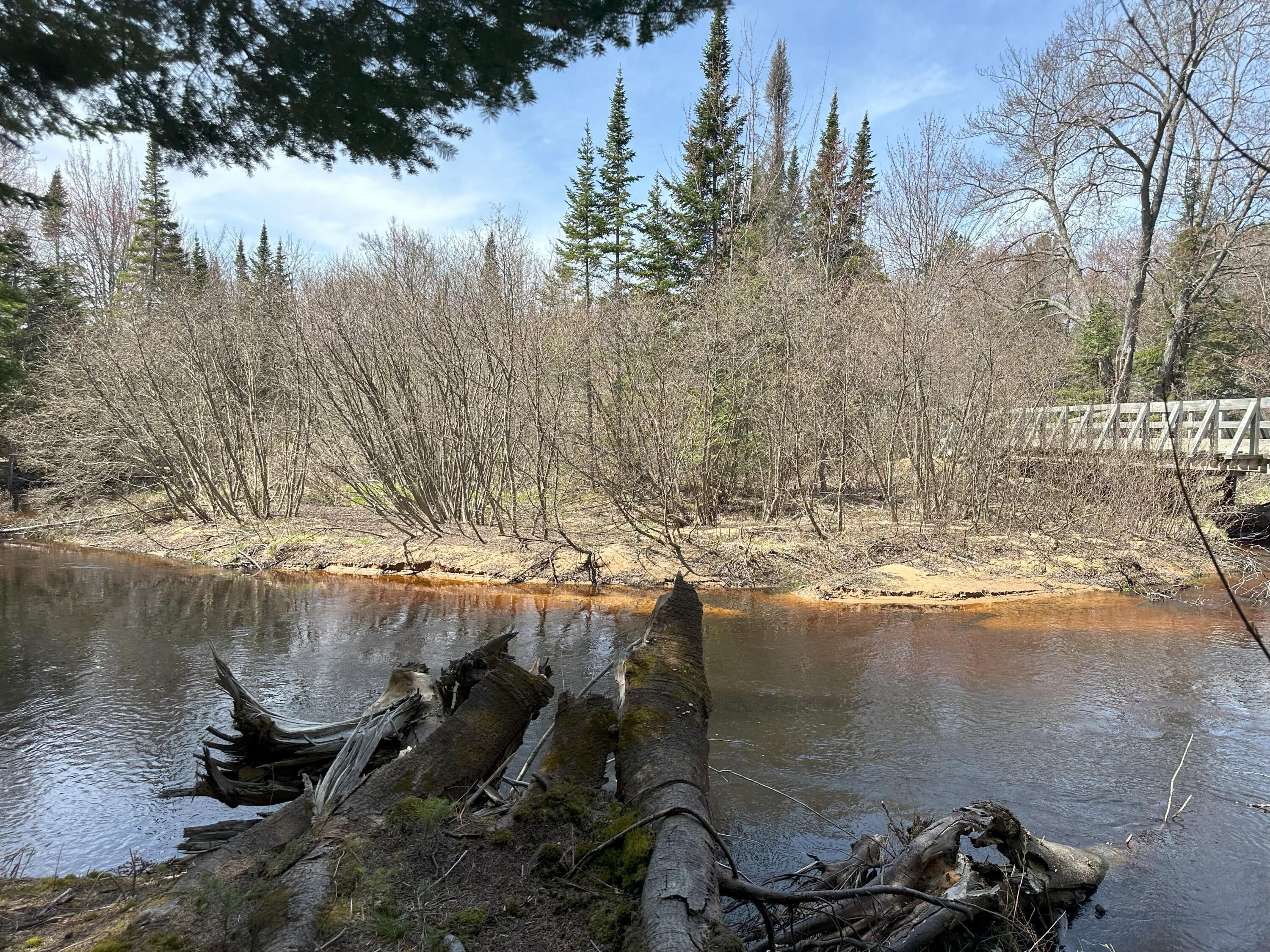 Tbd West Betsy River Road Paradise, MI 49768 - Photo 2 of 44 Gallery Image 2