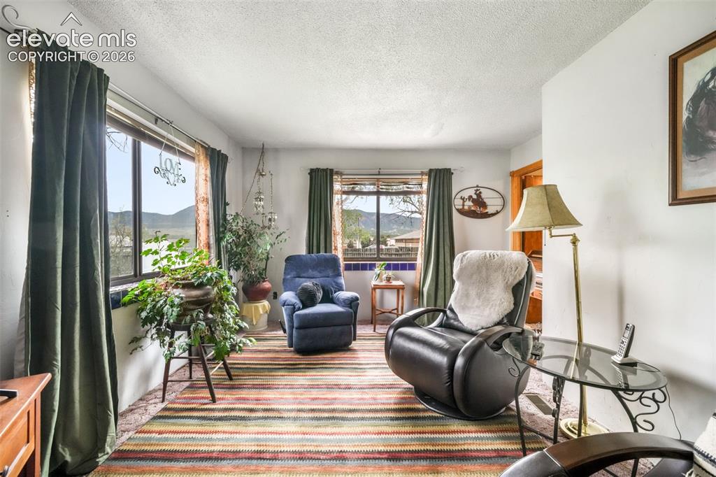 127 3rd Street Monument, CO 80132 - Photo 8 of 50