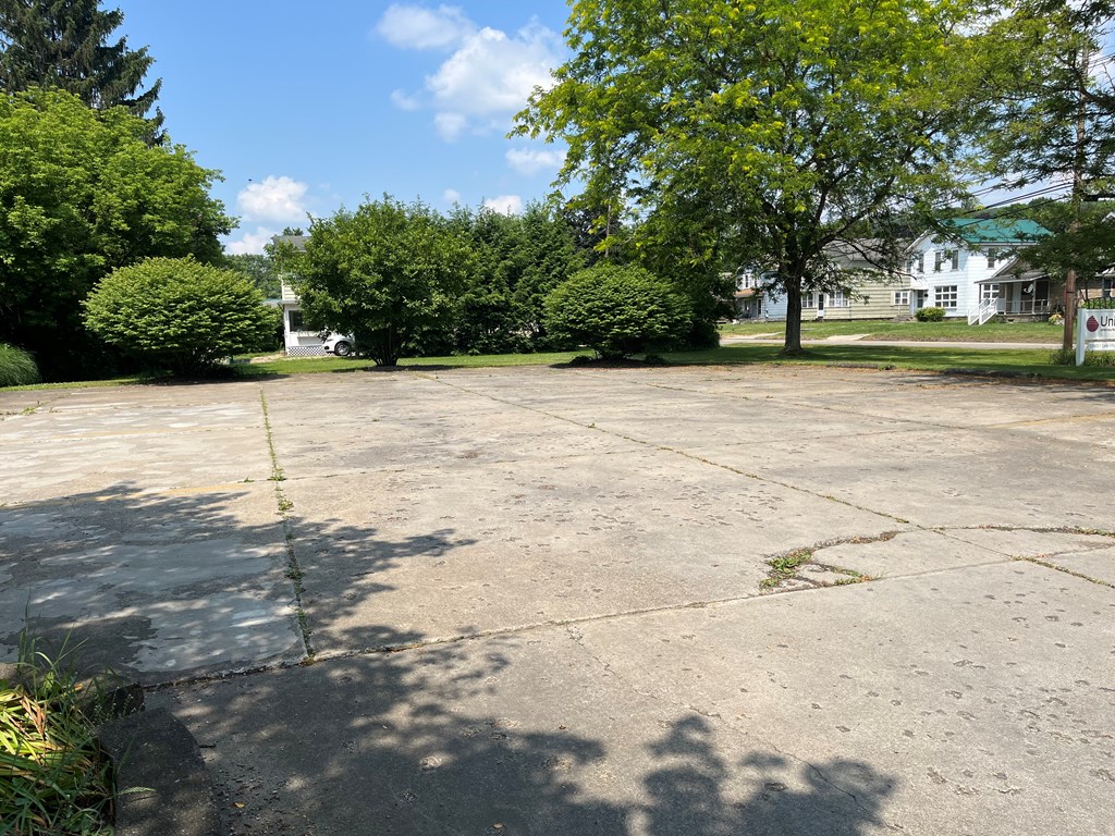 823 West Spring Street Titusville, PA 16354 - Photo 8 of 43 a view of a yard with plants and trees