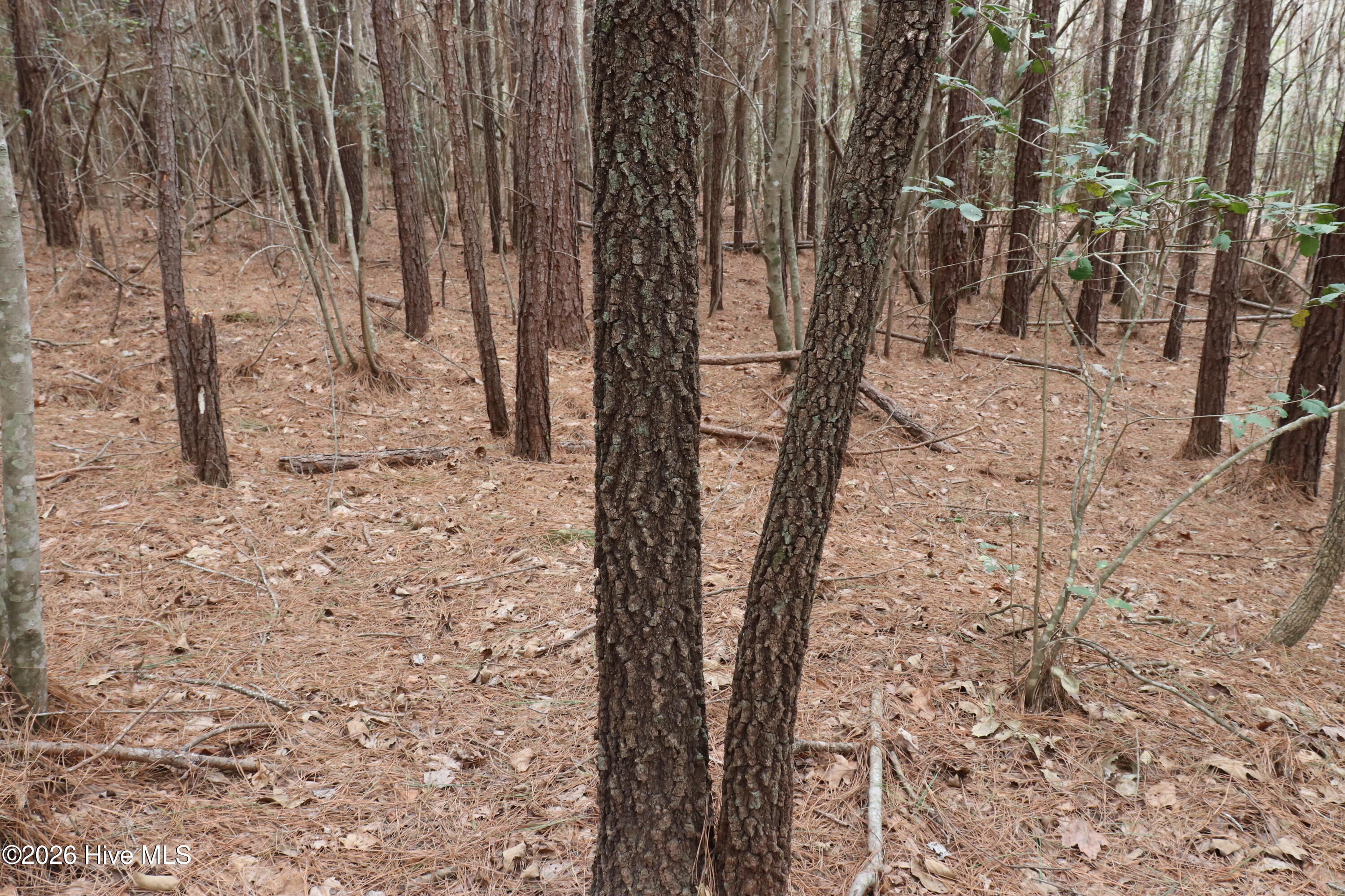 0 Rawls Church Road Fuquay-Varina, NC 27526 - Photo 11 of 20 IMG_3719