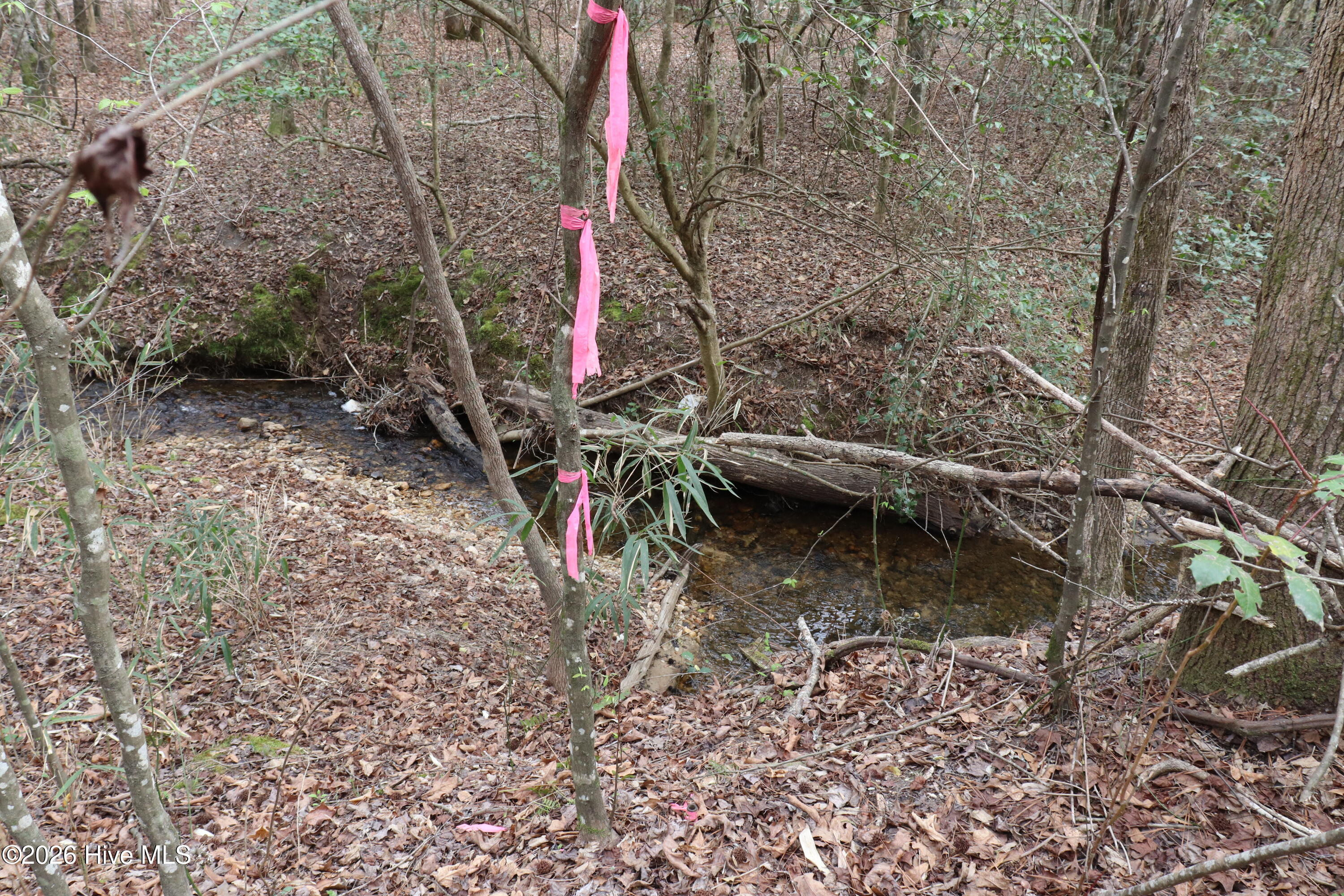 0 Rawls Church Road Fuquay-Varina, NC 27526 - Photo 12 of 20 Boundary Flagging