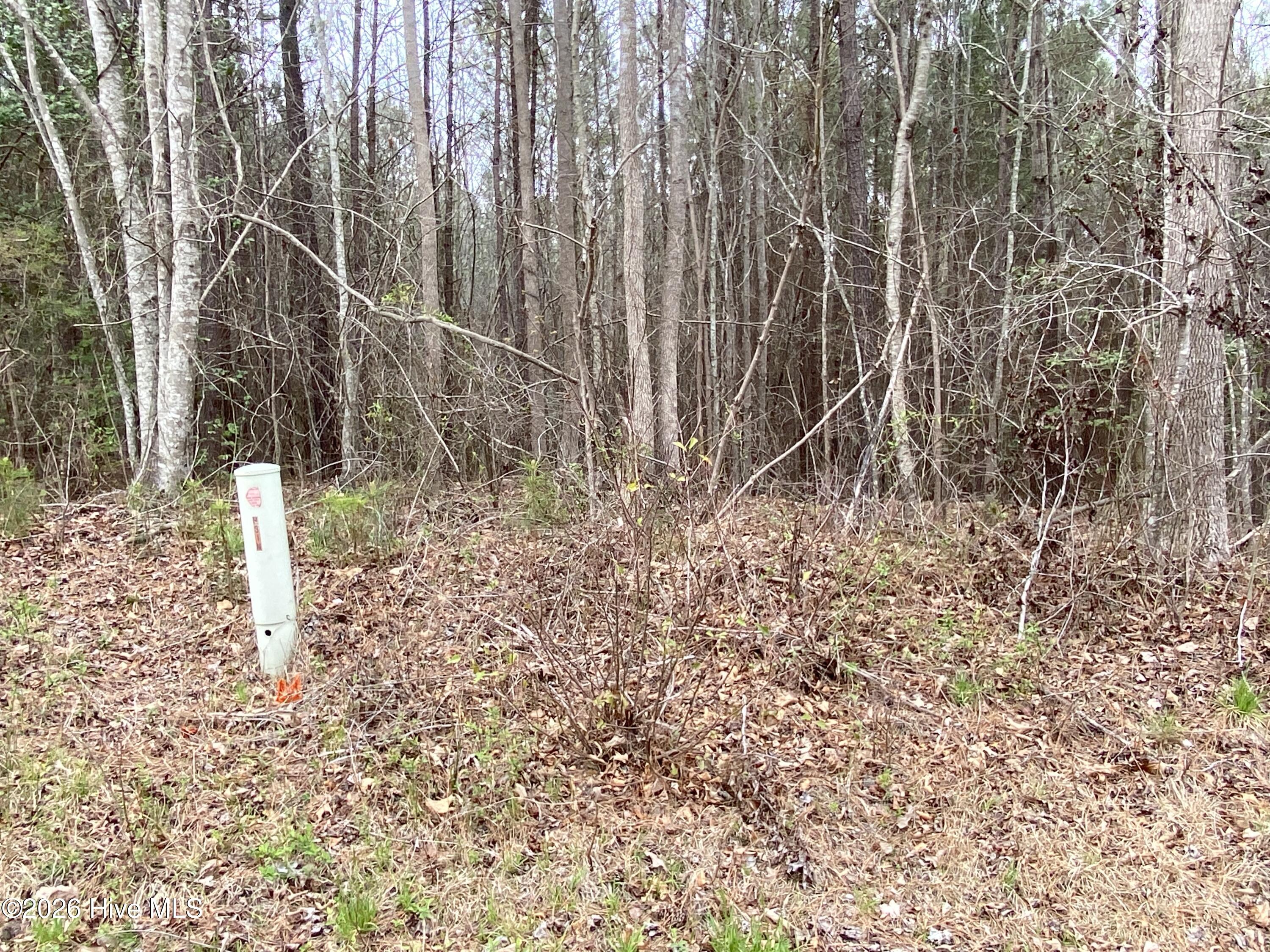 0 Rawls Church Road Fuquay-Varina, NC 27526 - Photo 20 of 20 IMG_5438