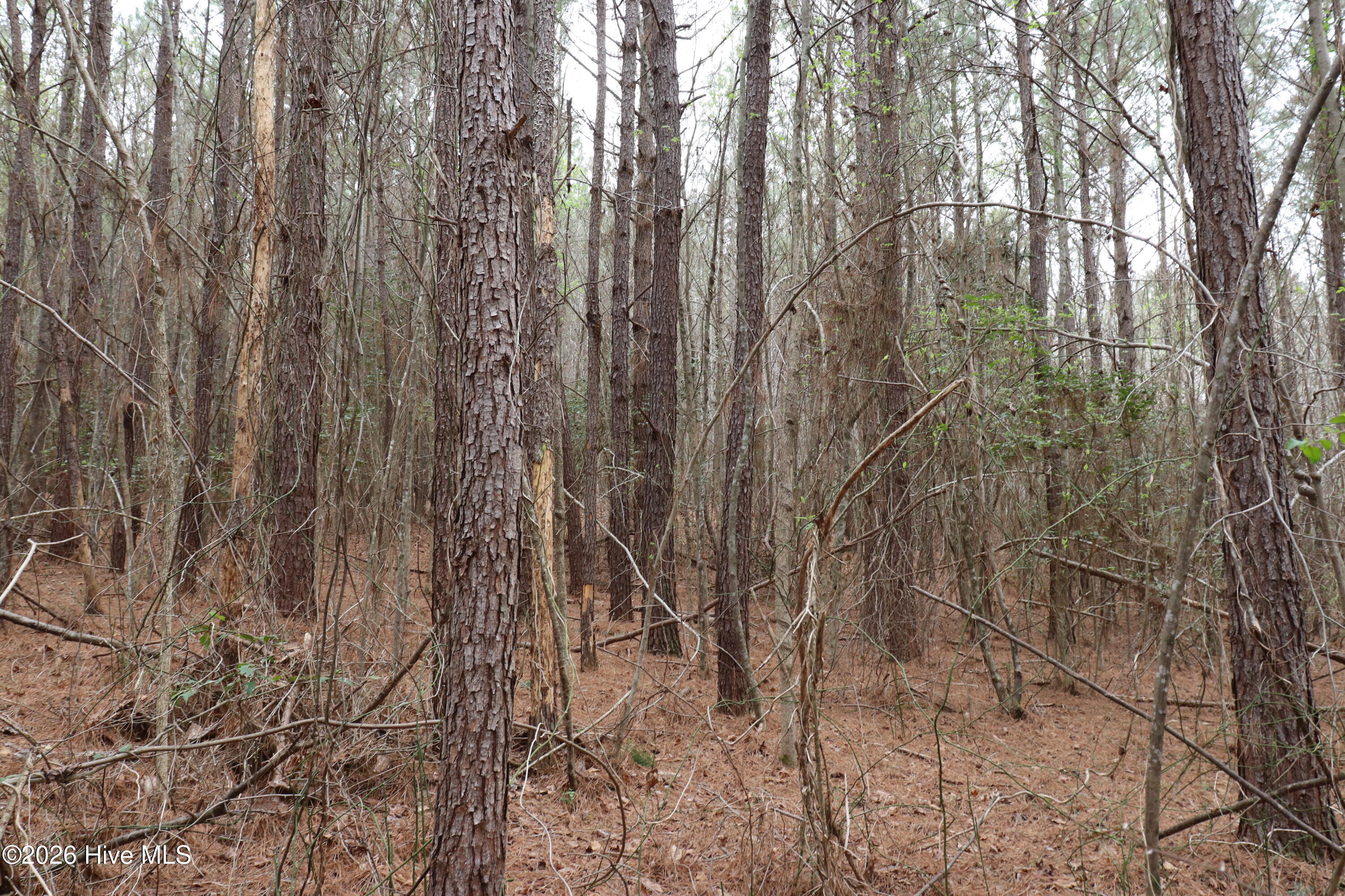 0 Rawls Church Road Fuquay-Varina, NC 27526 - Photo 5 of 20 IMG_3685