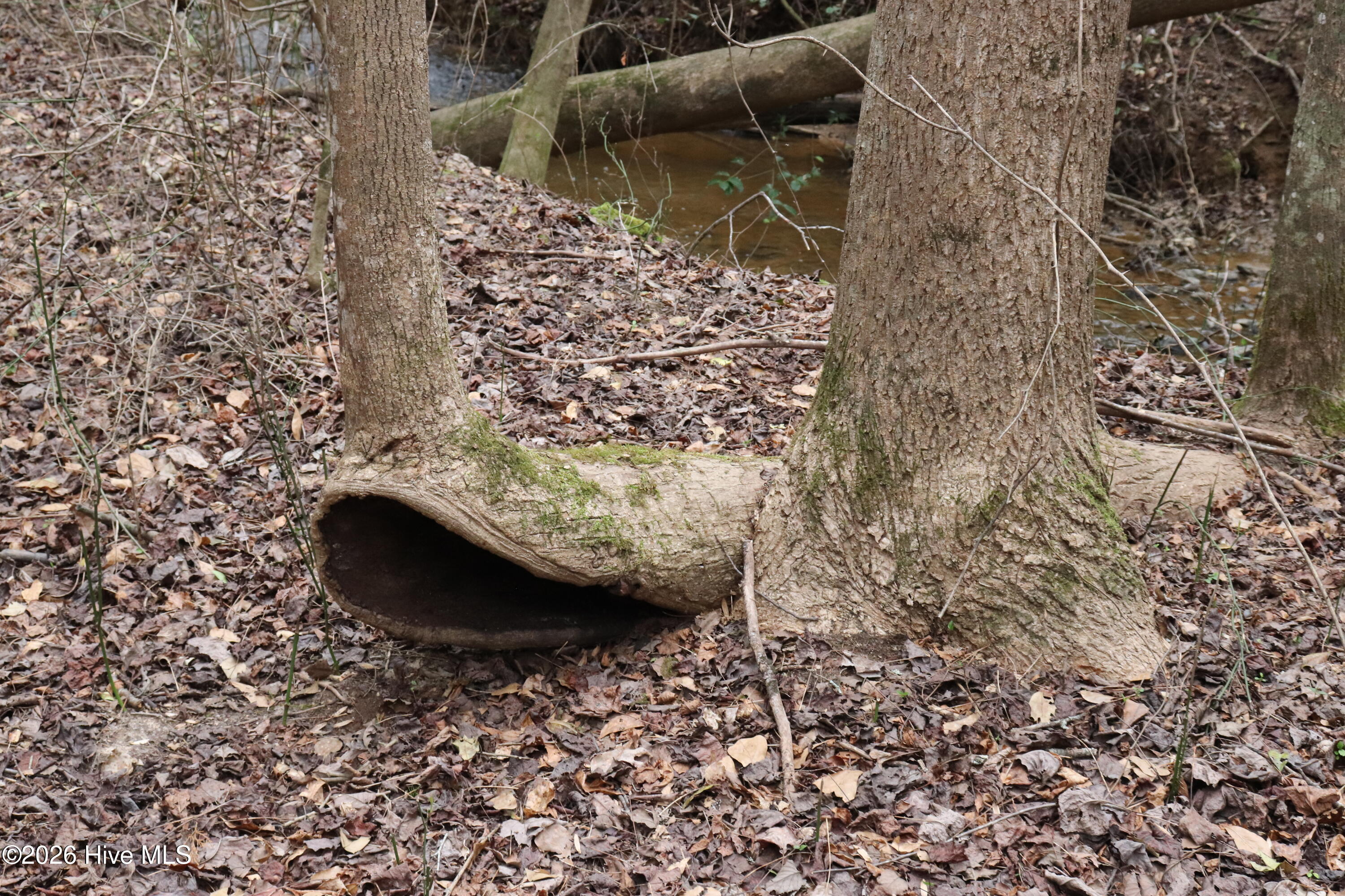 0 Rawls Church Road Fuquay-Varina, NC 27526 - Photo 8 of 20 IMG_3696