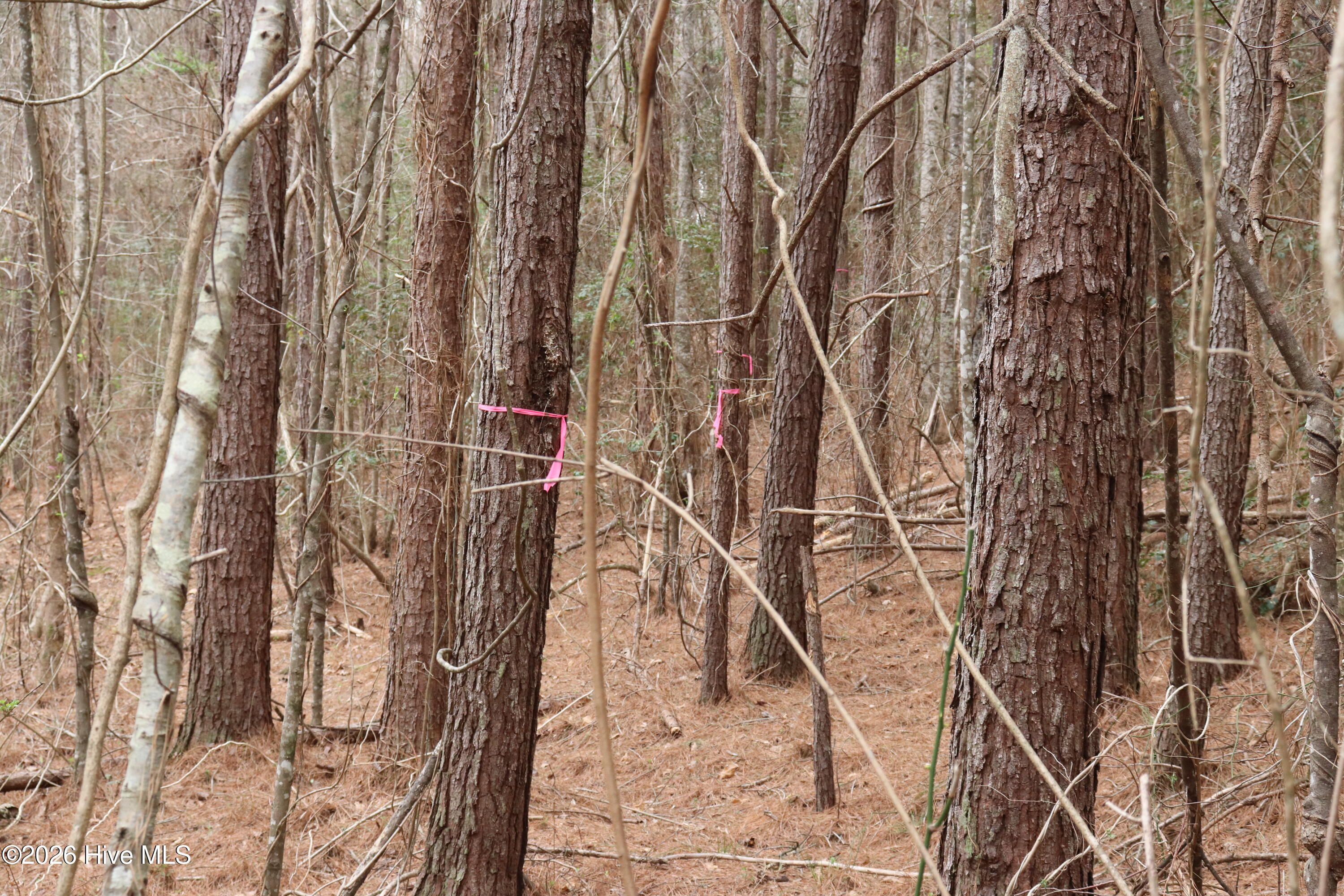 0 Rawls Church Road Fuquay-Varina, NC 27526 - Photo 9 of 20 IMG_3699