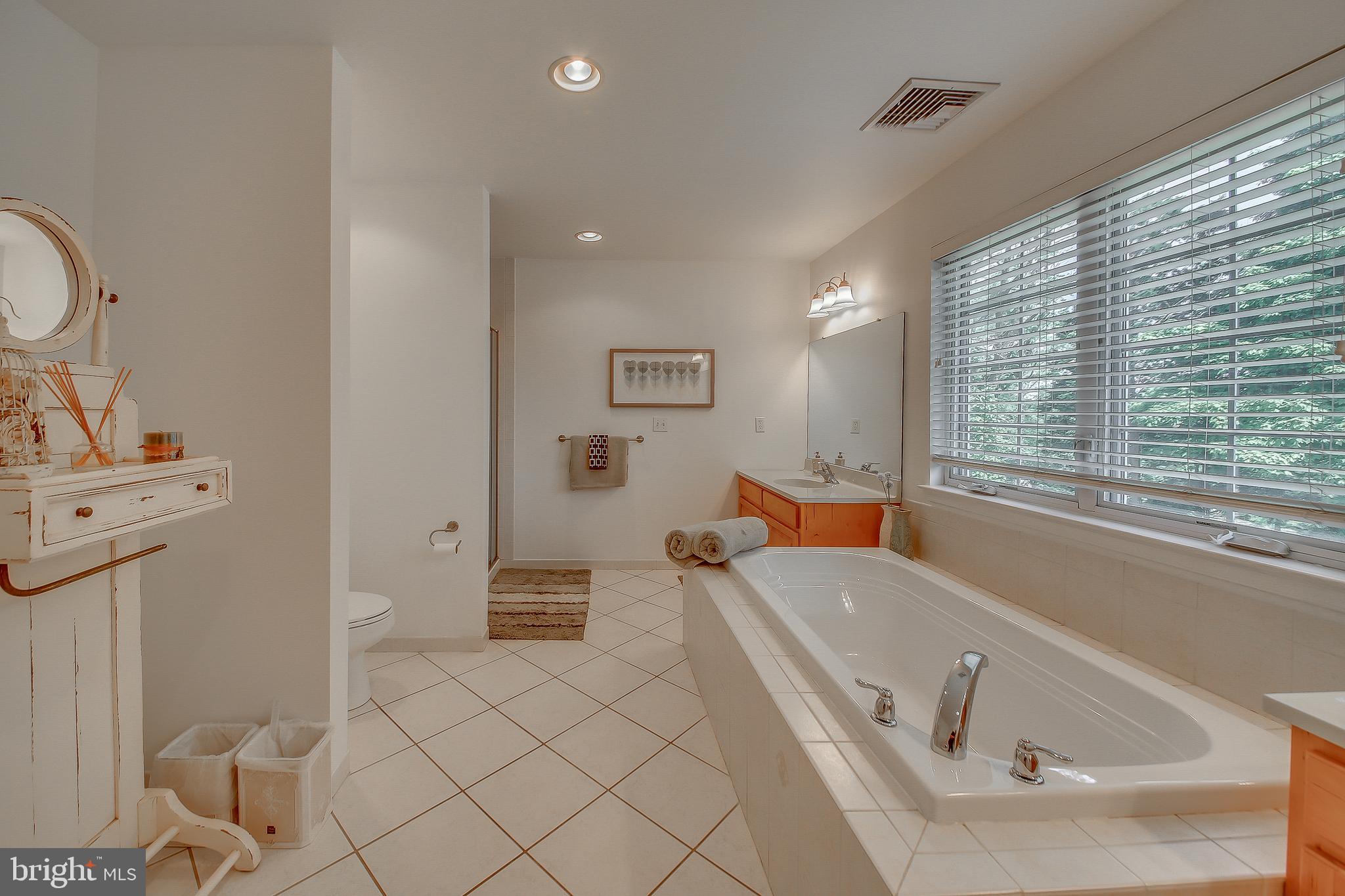 2389 Sugar Bottom Road Furlong, PA 18925 - Photo 33 of 54 Master Bath