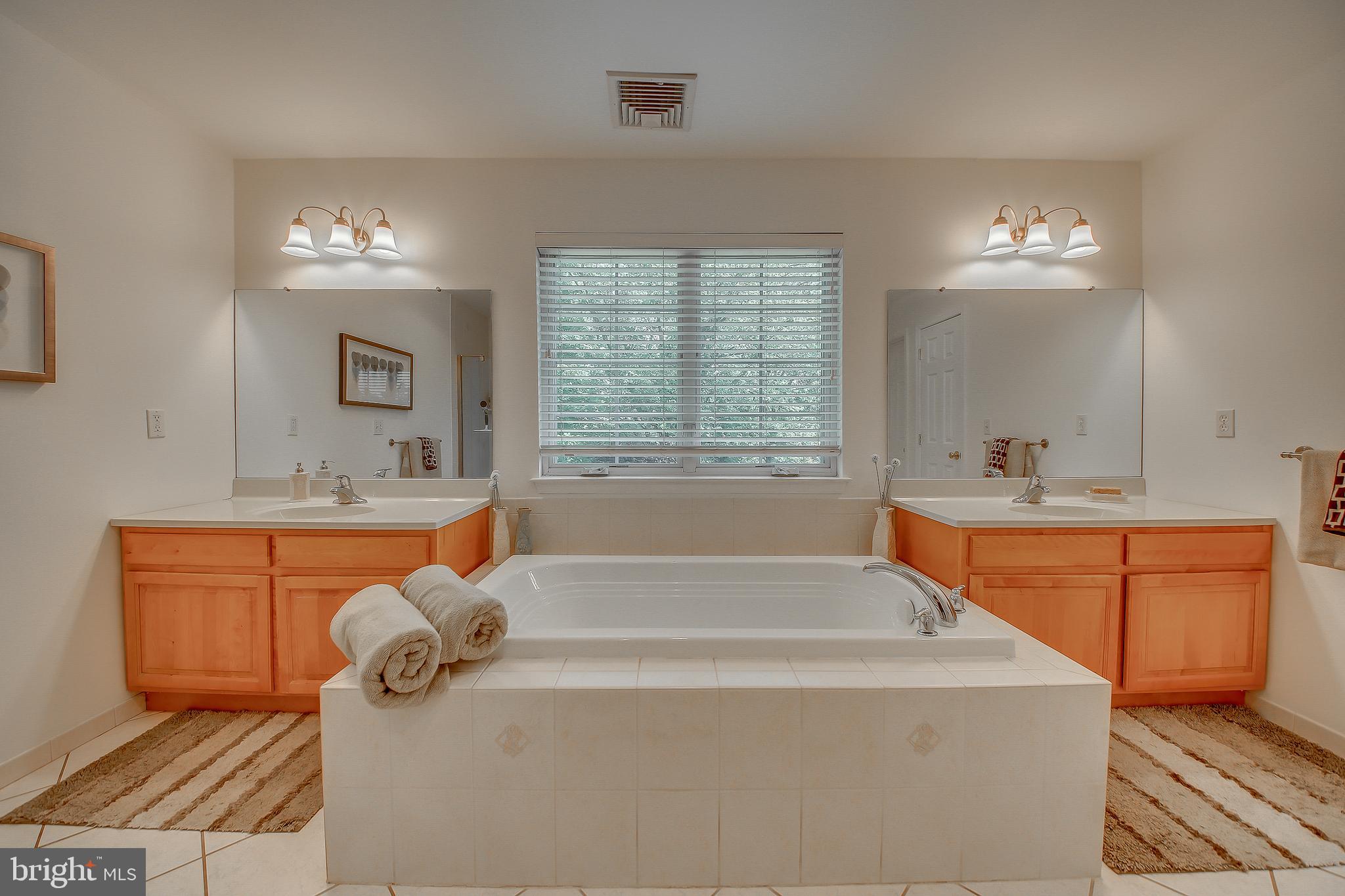2389 Sugar Bottom Road Furlong, PA 18925 - Photo 34 of 54 Master Bath