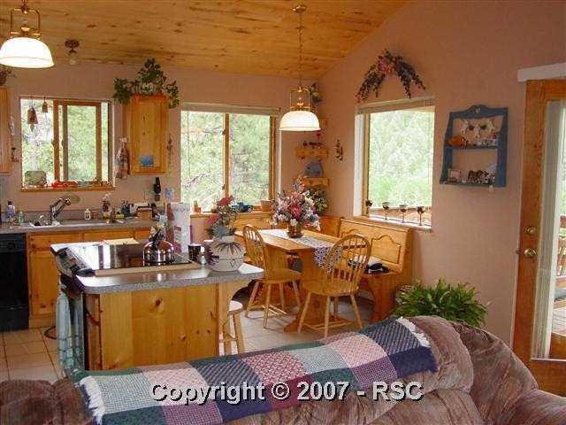385 Arrowhead Road Florissant, CO 80816 - Photo 2 of 12 Gallery Image 2