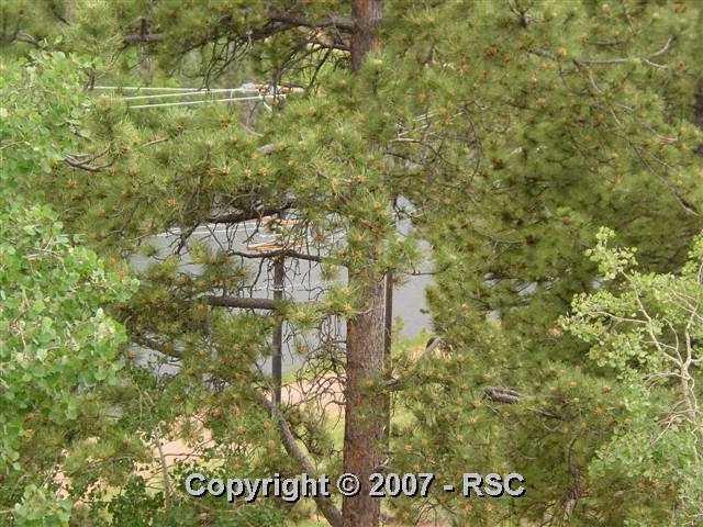 385 Arrowhead Road Florissant, CO 80816 - Photo 3 of 12 Gallery Image 3