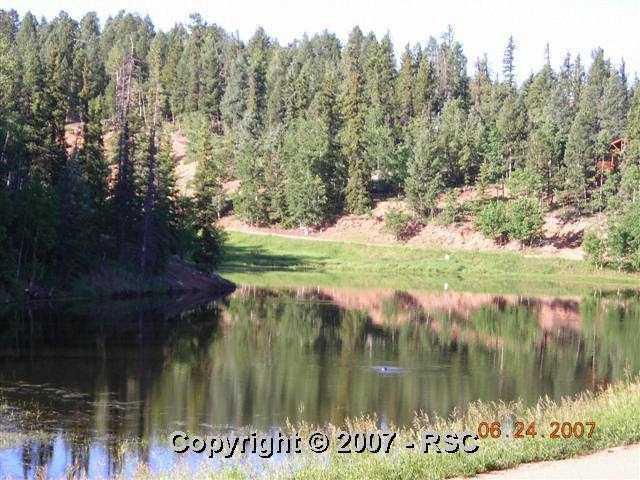 385 Arrowhead Road Florissant, CO 80816 - Photo 4 of 12 Gallery Image 4