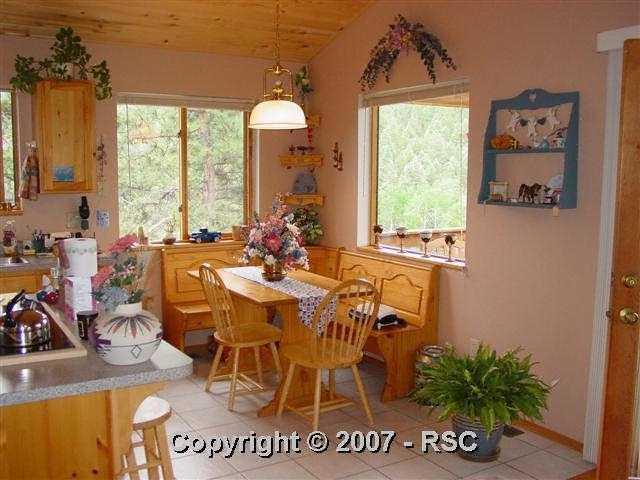 385 Arrowhead Road Florissant, CO 80816 - Photo 9 of 12 Gallery Image 9