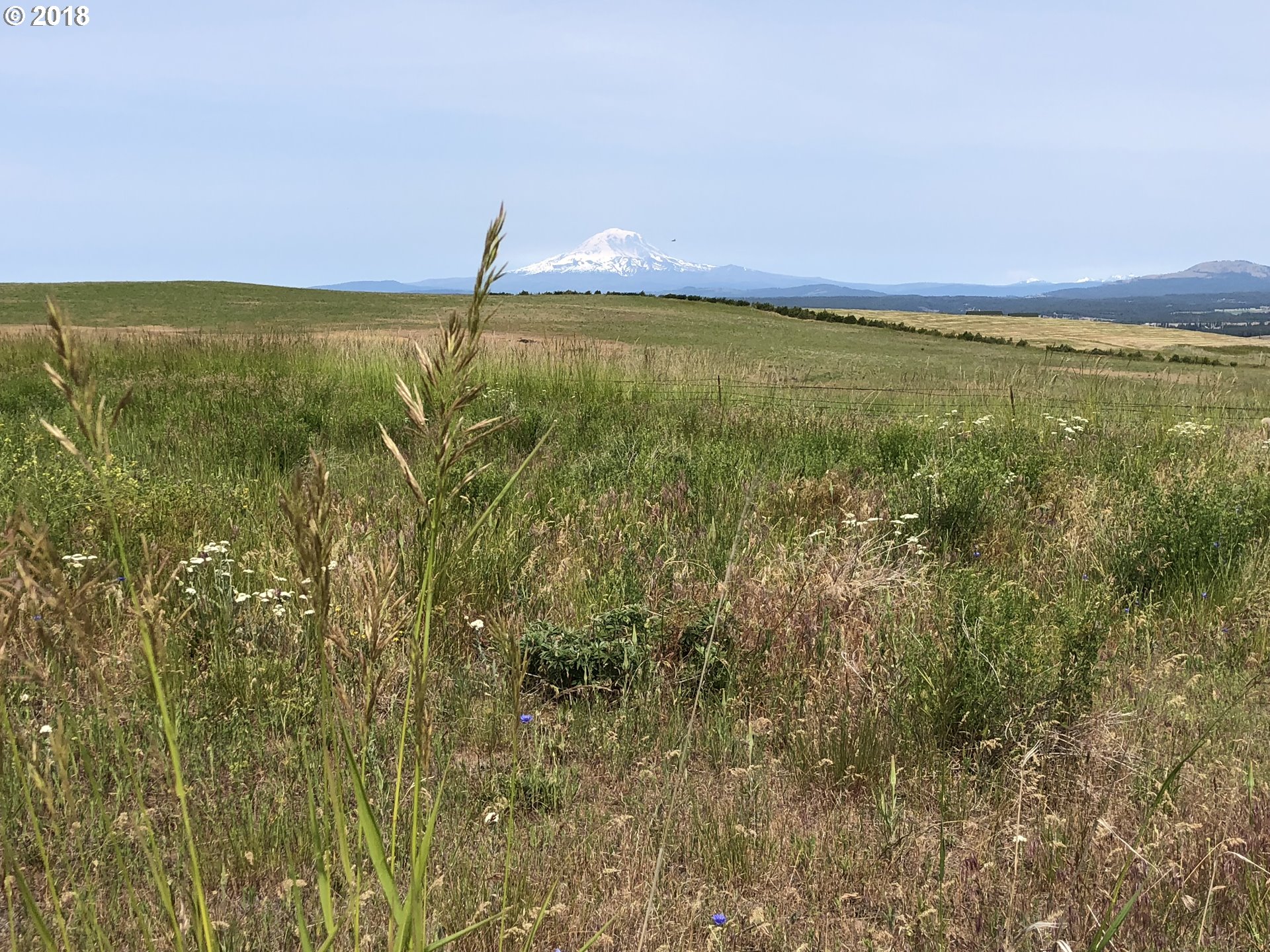 Festus Centerville, WA 98613 - Photo 4 of 17 a view of an ocean