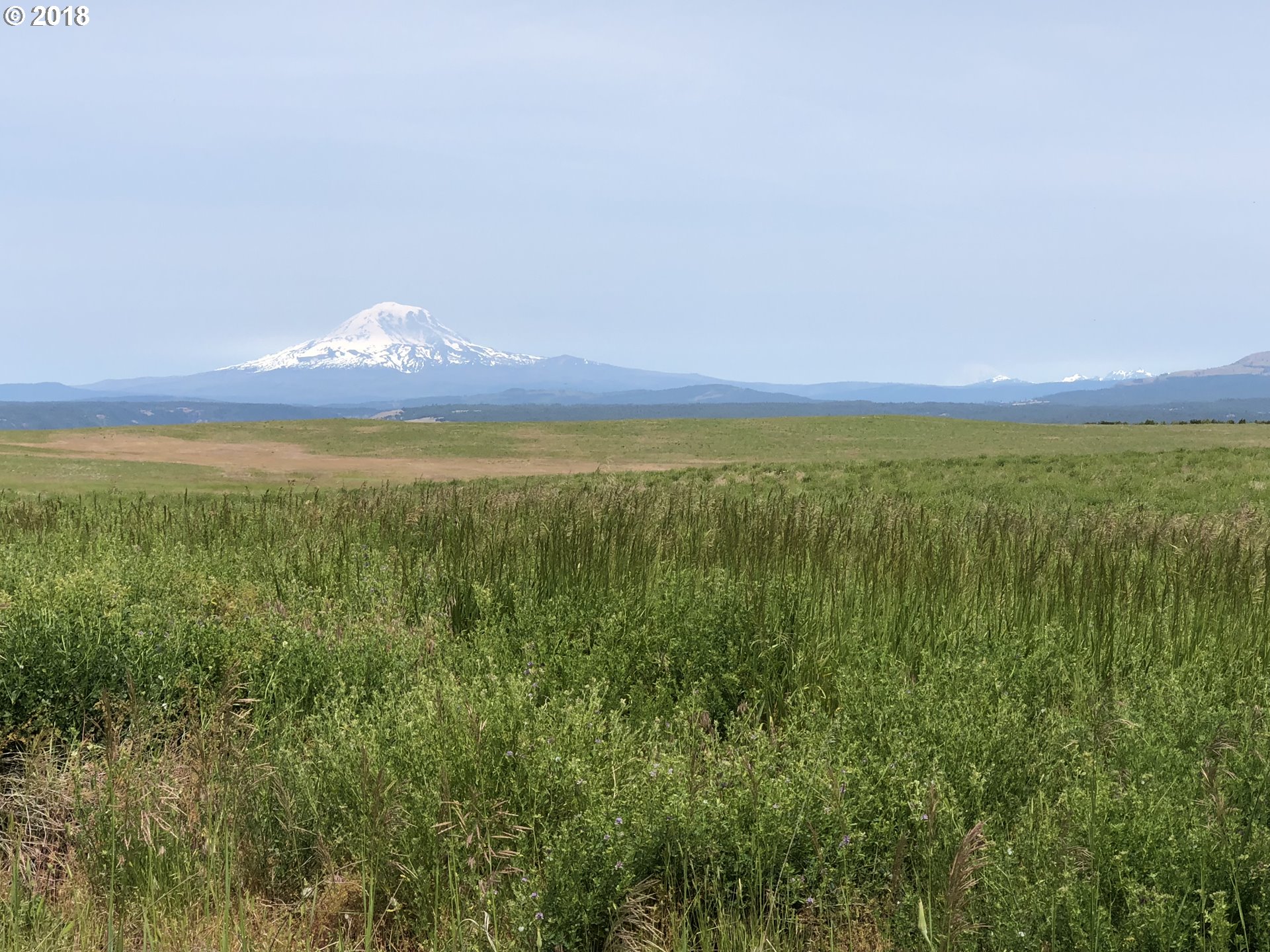 Festus Centerville, WA 98613 - Photo 6 of 17 a view of an ocean and beach