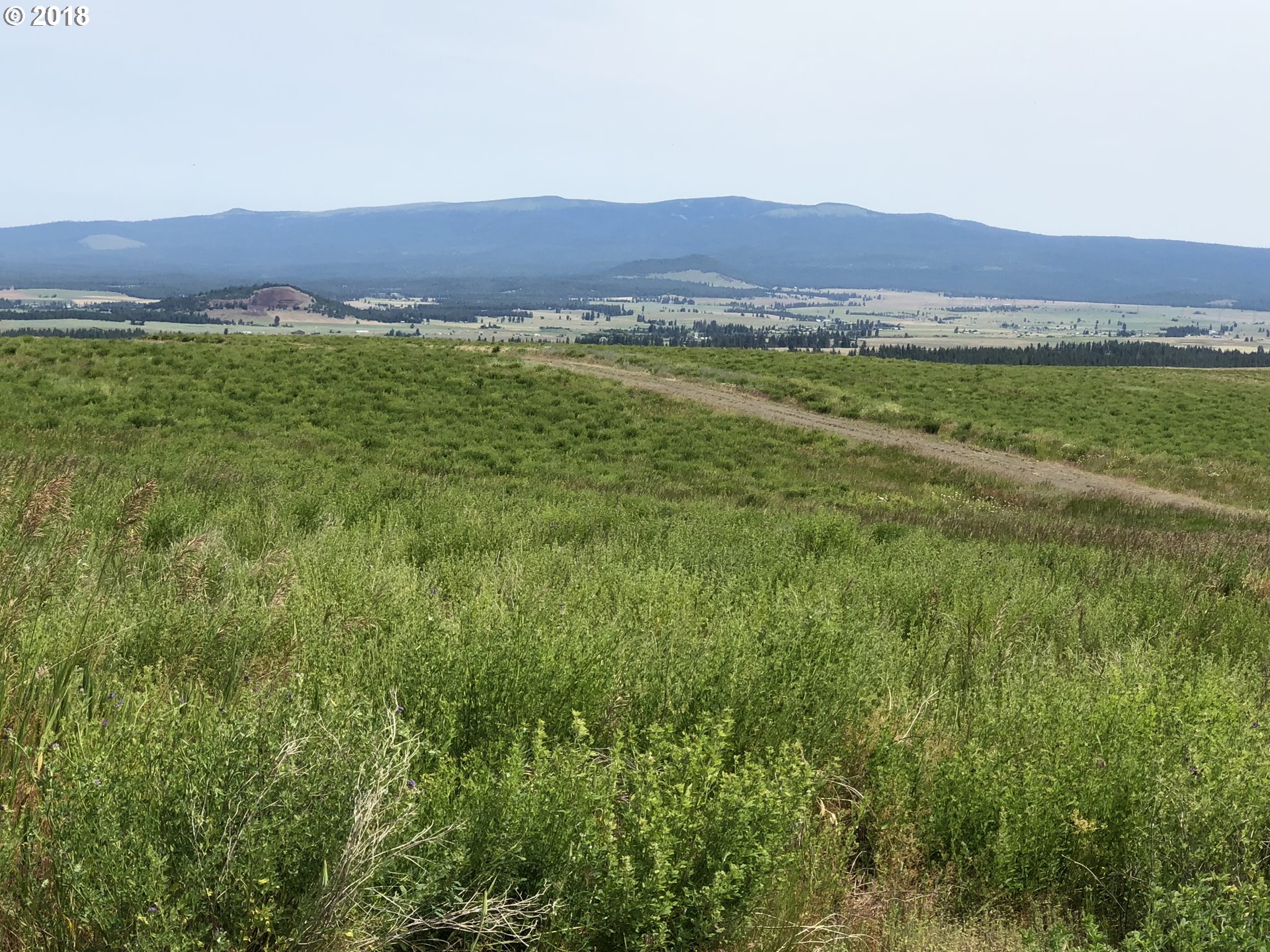 Festus Centerville, WA 98613 - Photo 7 of 17 a view of an ocean from a yard