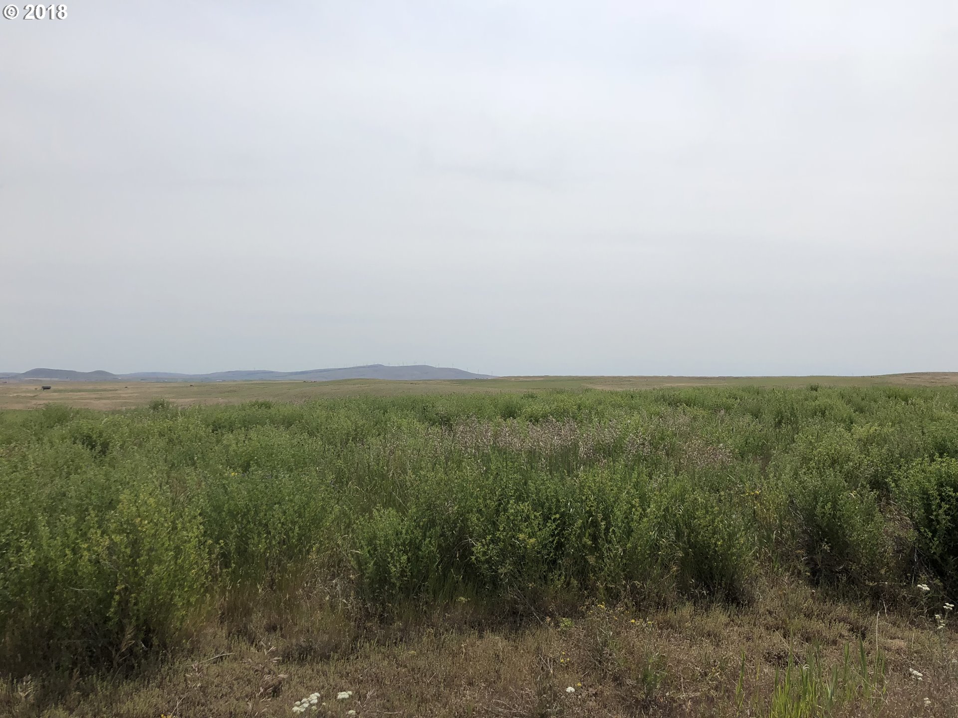 Festus Centerville, WA 98613 - Photo 9 of 17 a view of a big yard with lots of green space