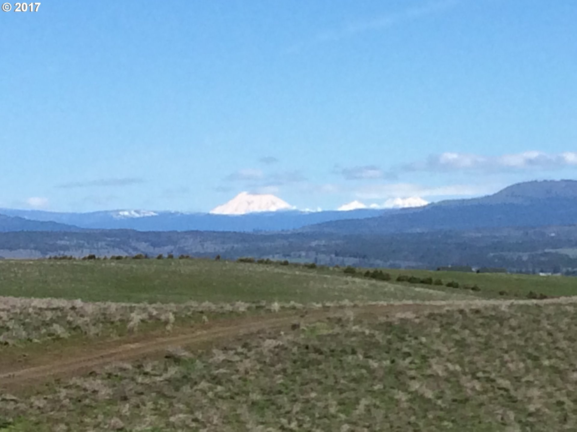 Festus Centerville, WA 98613 - Photo 10 of 17 a view of an outdoor space