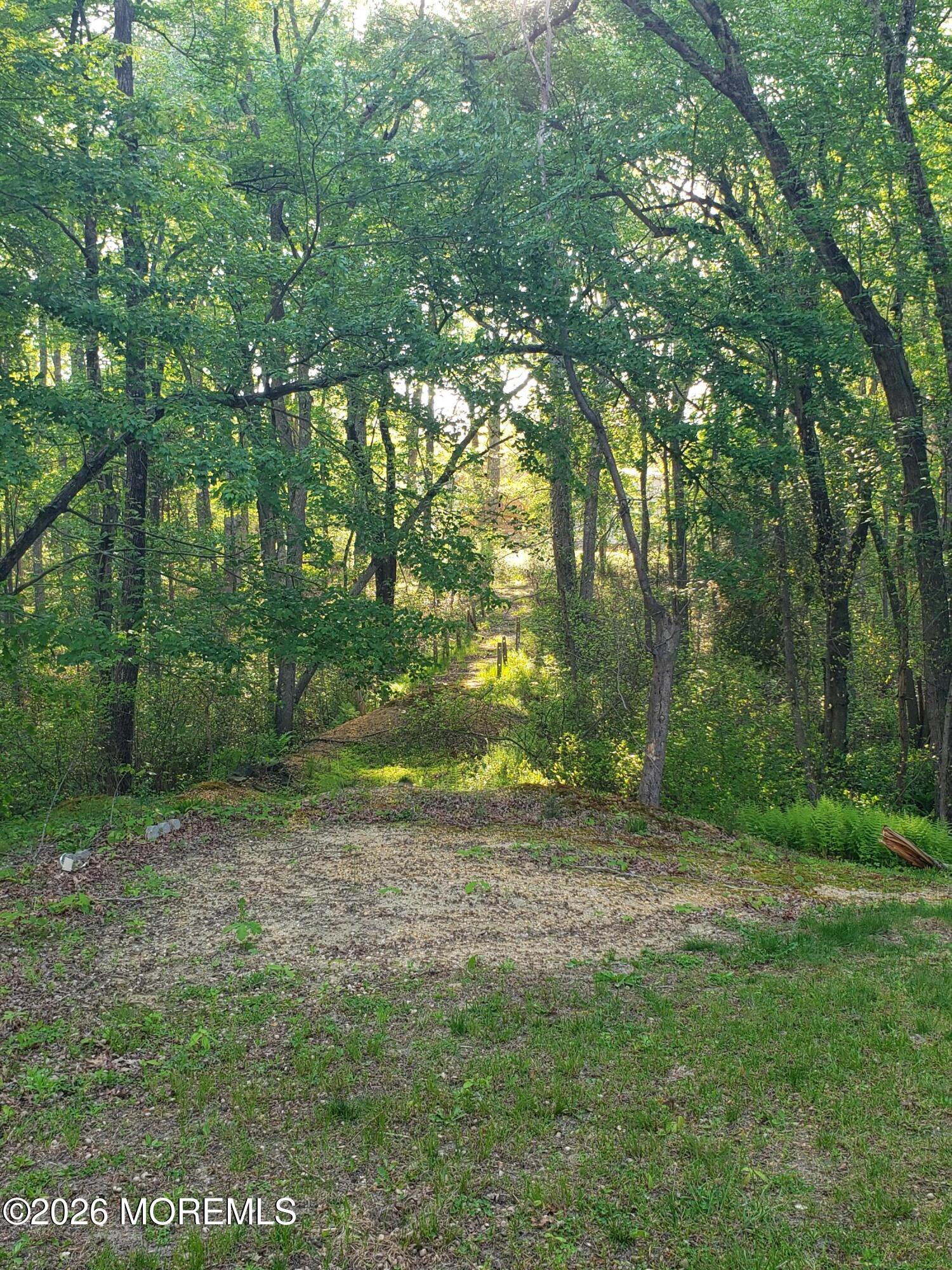 689 Freehold Road Jackson, NJ 08527 - Photo 45 of 58 20260513_075559