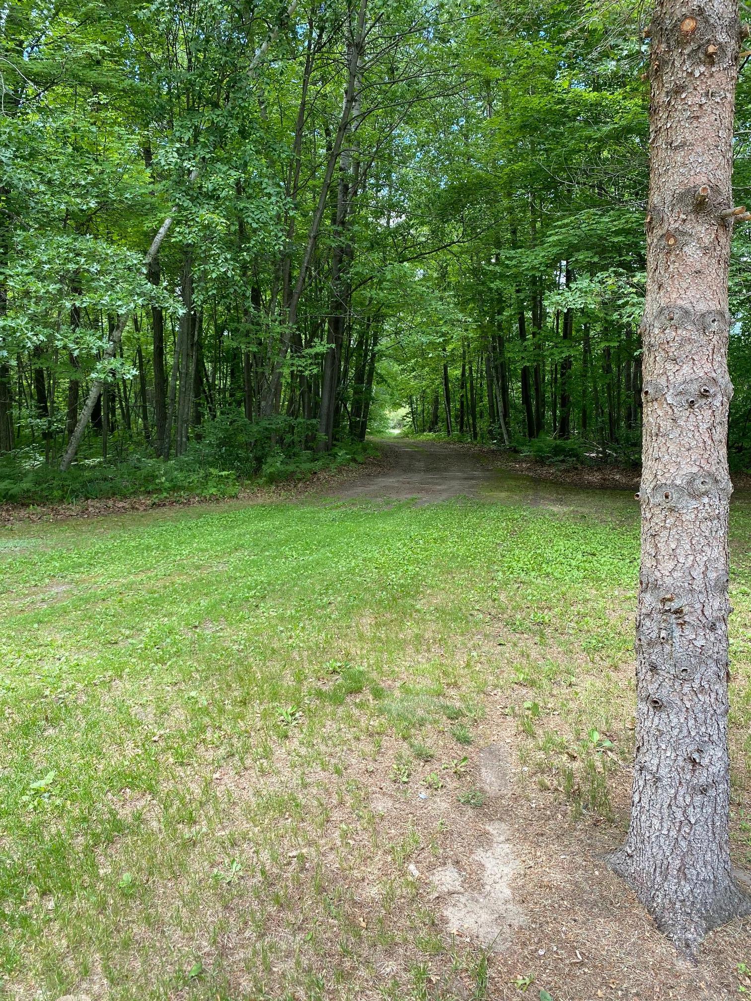 24280 County Road 3 Merrifield, MN 56465 - Photo 28 of 28