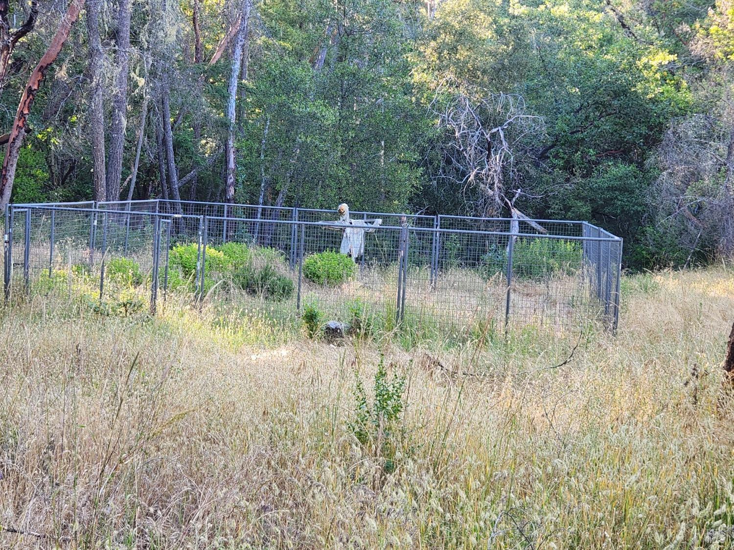 97420 Mina Road Covelo, CA 95428 - Photo 33 of 43