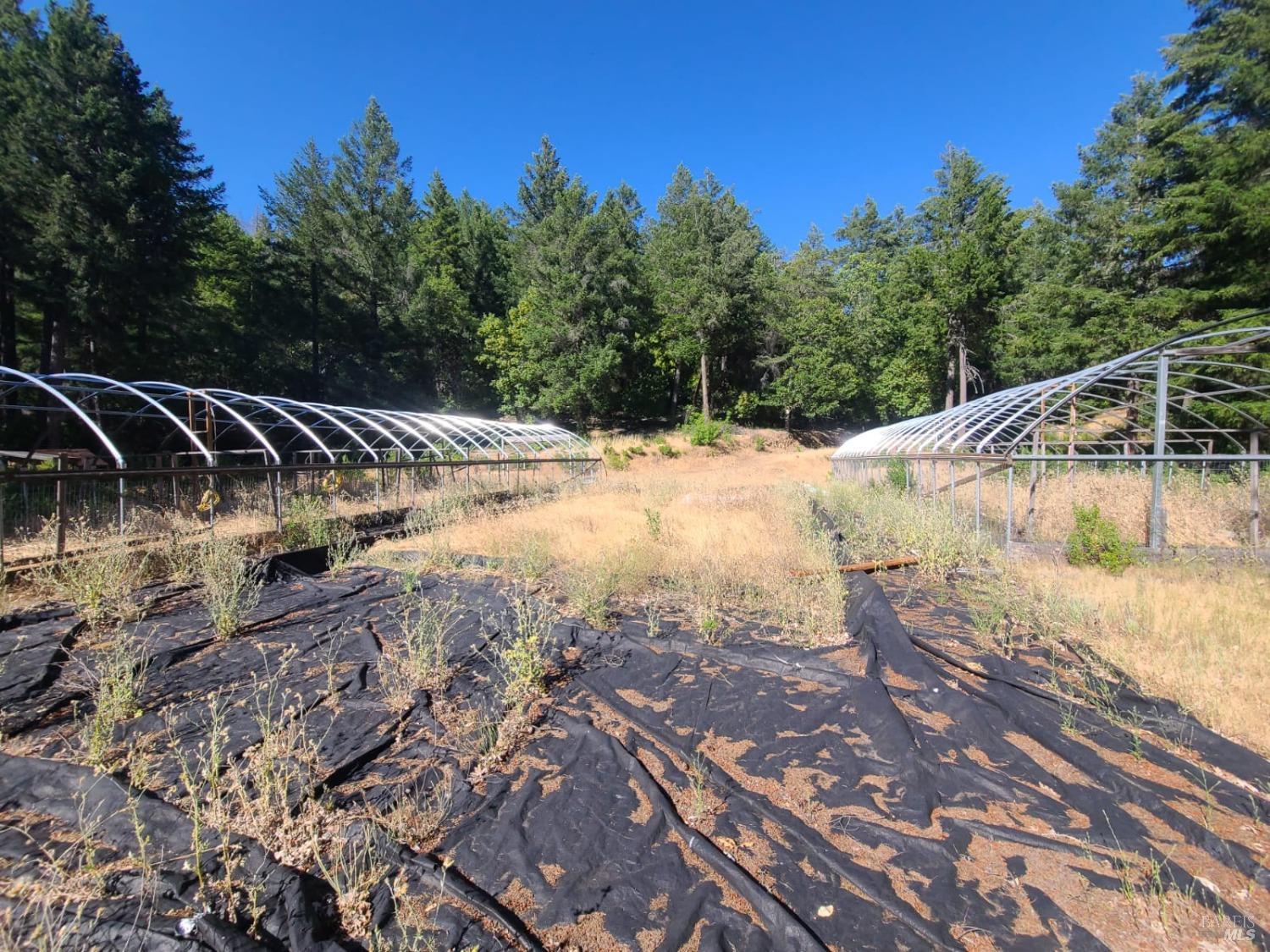 97420 Mina Road Covelo, CA 95428 - Photo 36 of 43