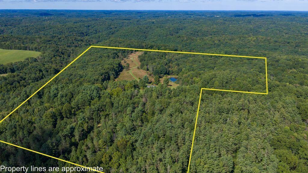 24603 Potter Ridge Road Creola, OH 45622 - Photo 96 of 99 24603 Potter Ridge Drone00012-Edit