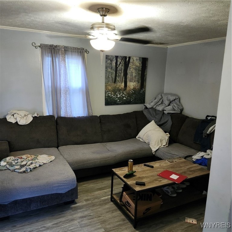 166 Cabot Road Greece, NY 14626 - Photo 4 of 32