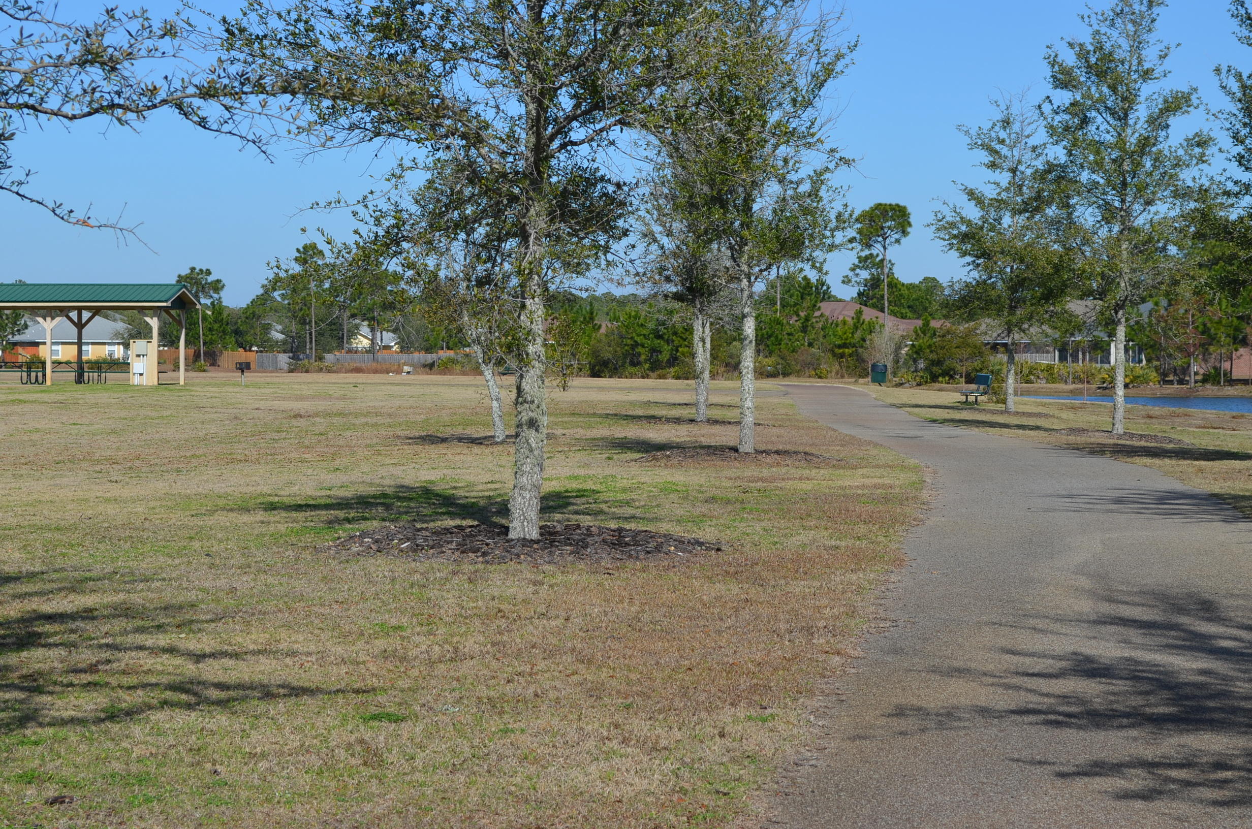 669 East Shipwreck Road Santa Rosa Beach, FL 32459 - Photo 30 of 35 a view of outdoor space with trees