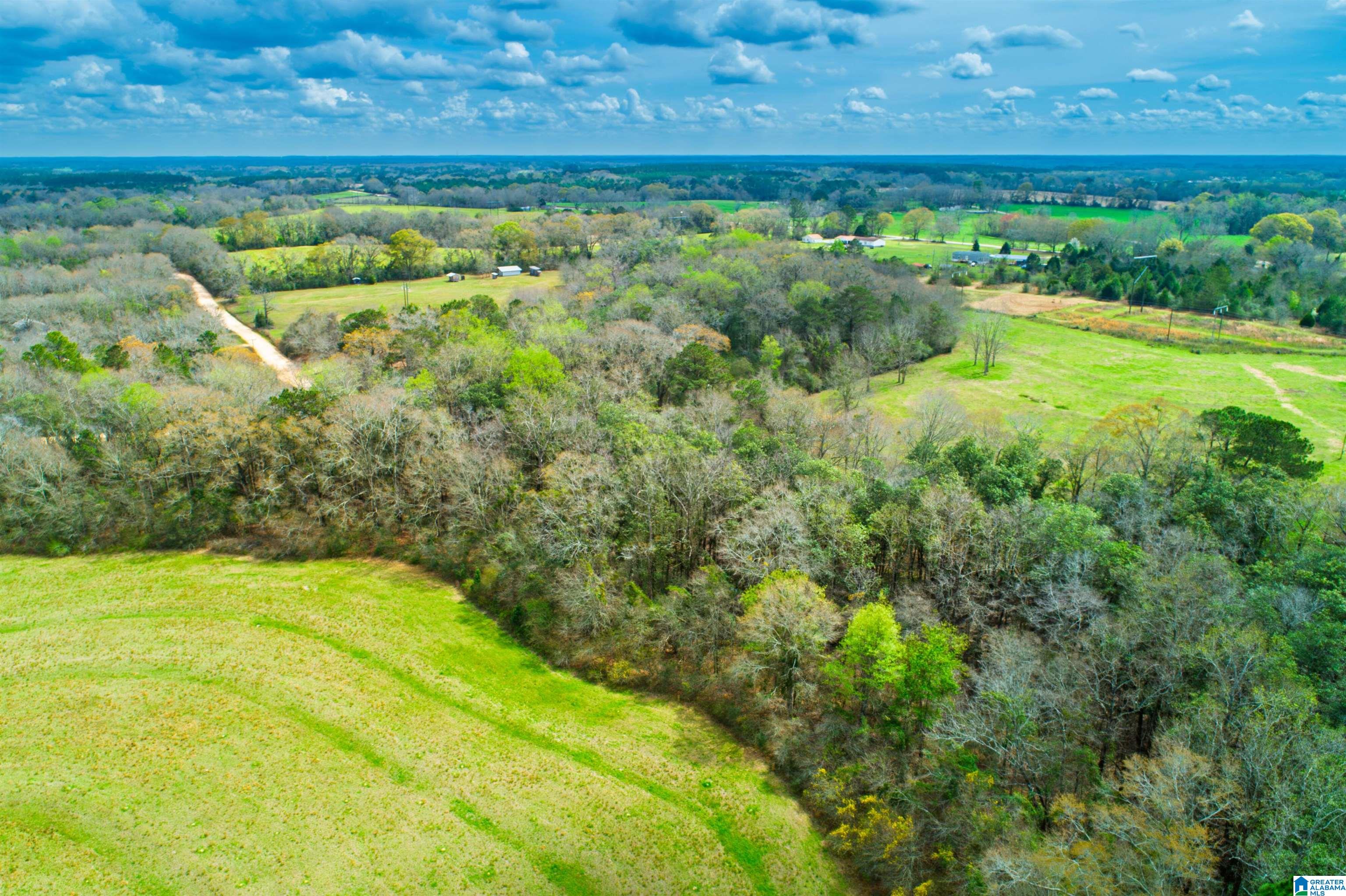 27180 Deer Run Road Opp, AL 36467 - Photo 12 of 60